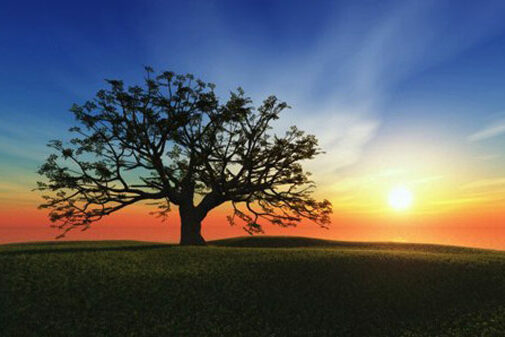 Université Populaire du 14ème - Cycle économie 2014