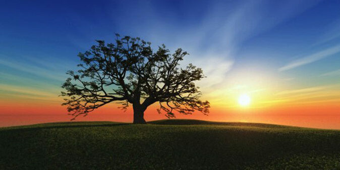 Université Populaire du 14ème - Cycle économie 2014